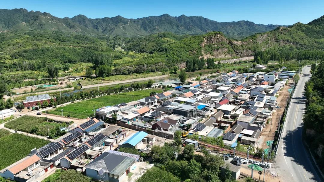 888���š����й������ٷ���վ